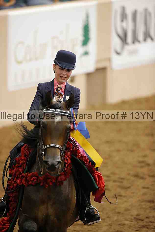 Proof 13yn_07206