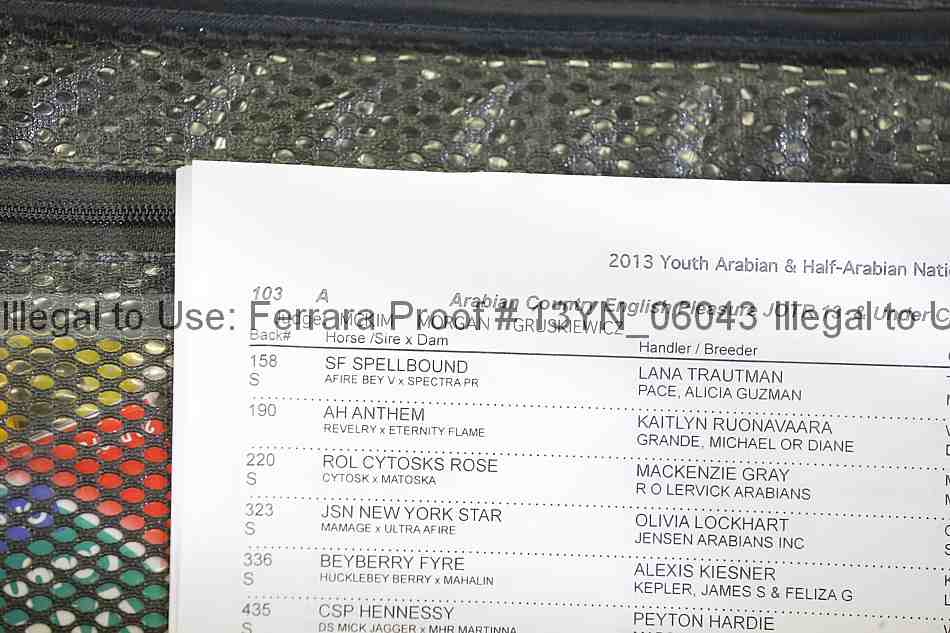 Proof 13yn_06043