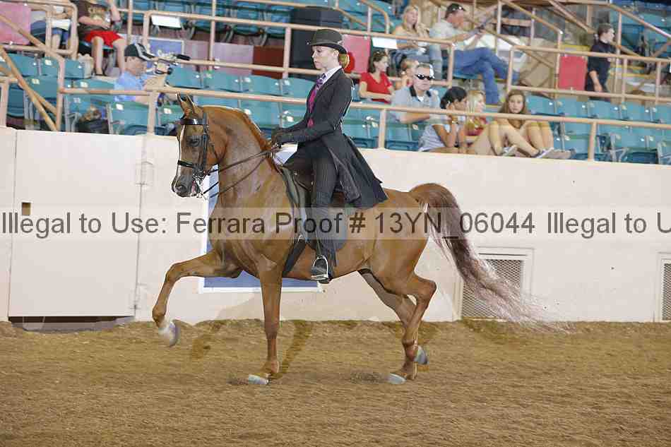 Proof 13yn_06044