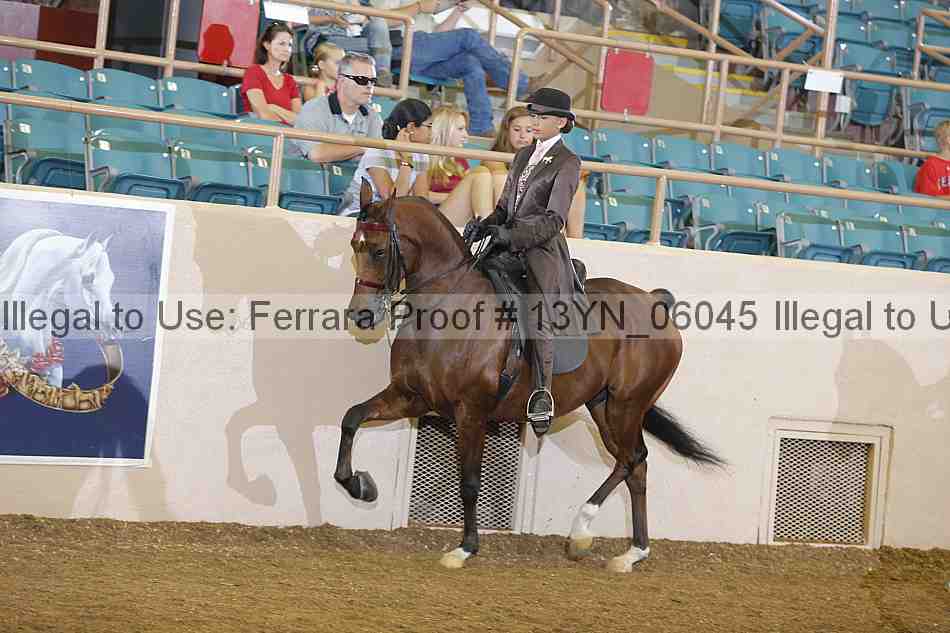 Proof 13yn_06045