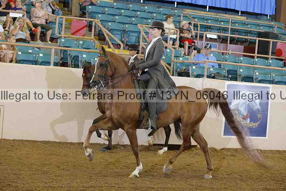 Proof 13yn_06046