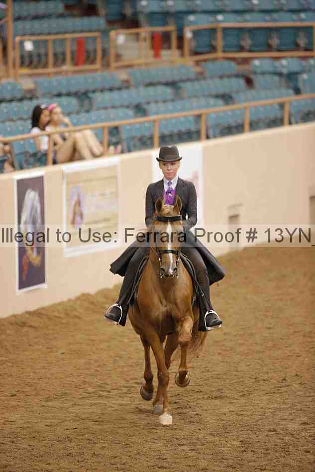 Proof 13yn_06047