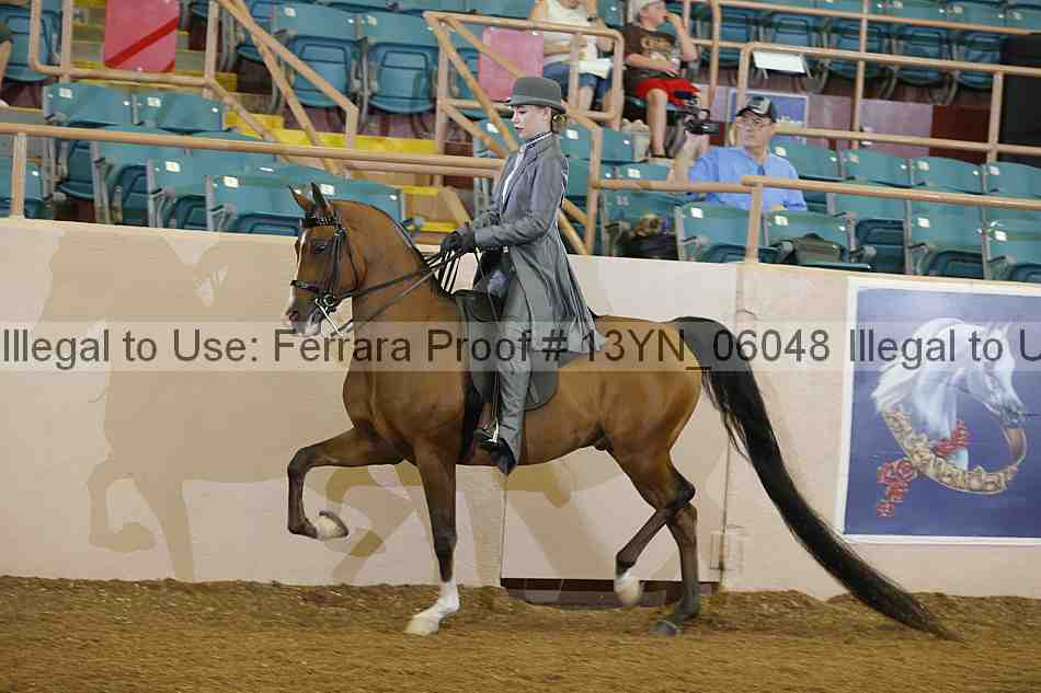 Proof 13yn_06048