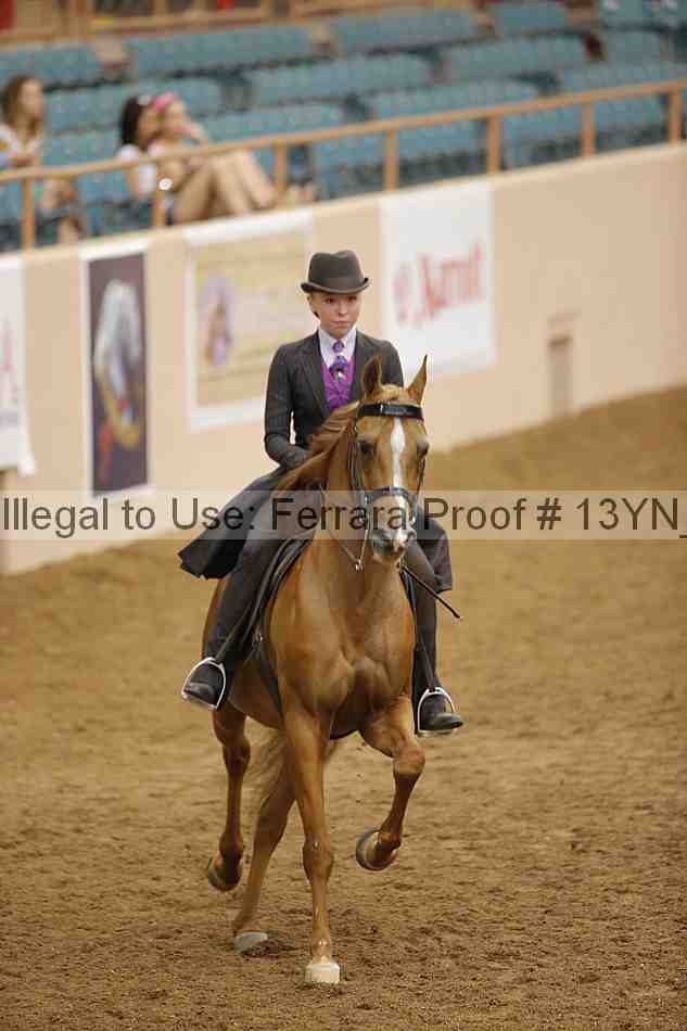 Proof 13yn_06049