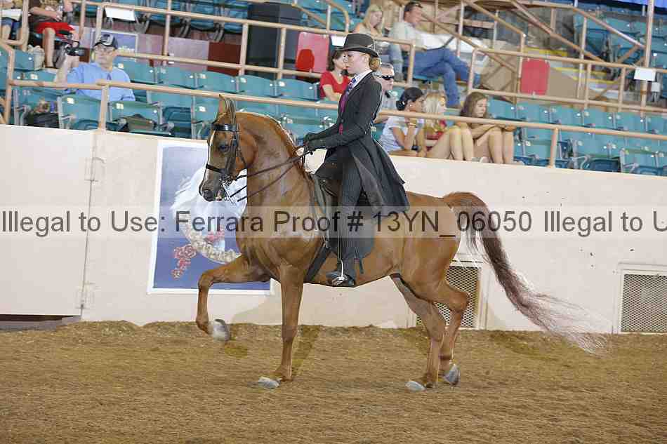 Proof 13yn_06050