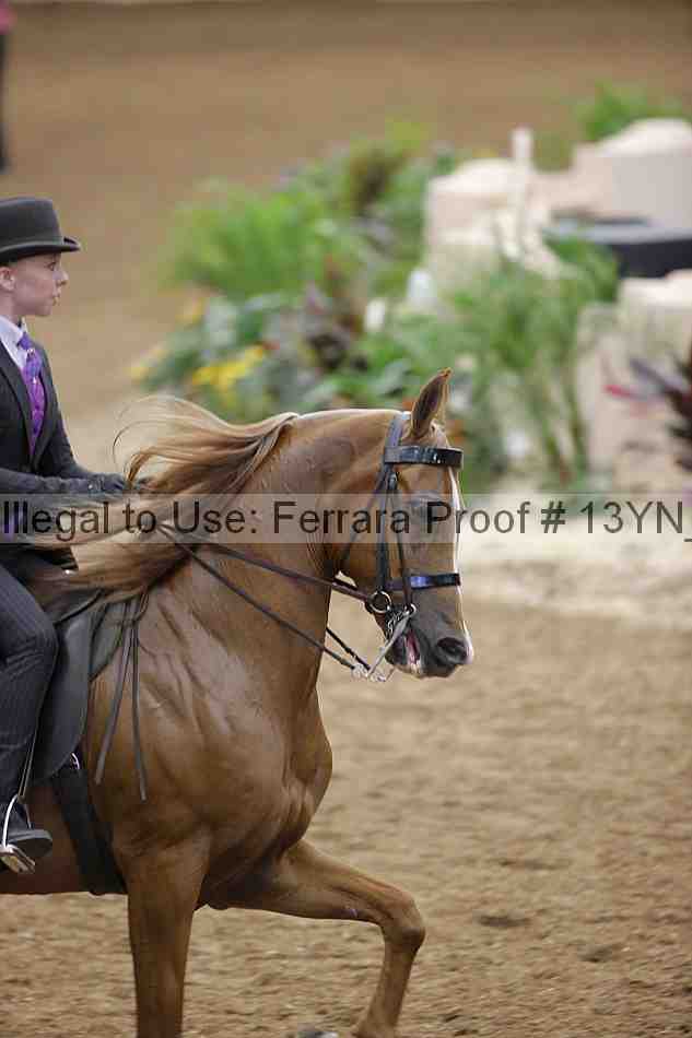 Proof 13yn_06051