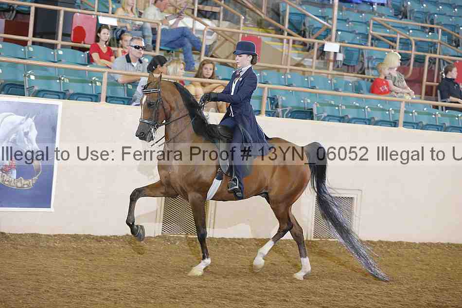 Proof 13yn_06052