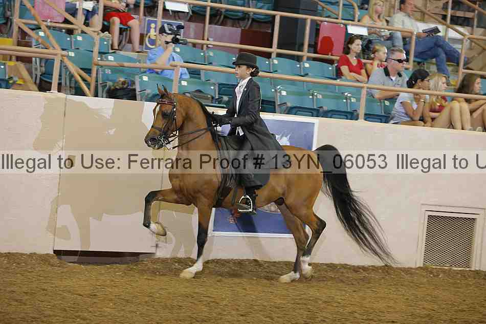 Proof 13yn_06053