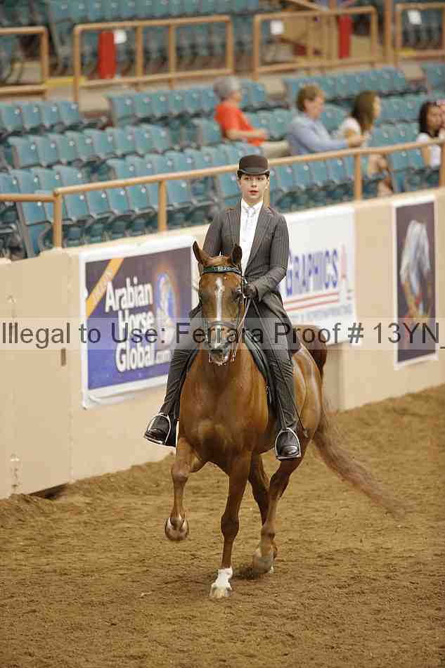 Proof 13yn_06054