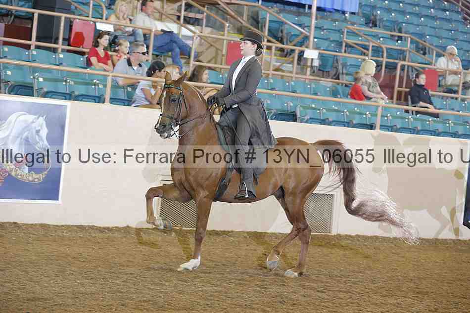 Proof 13yn_06055