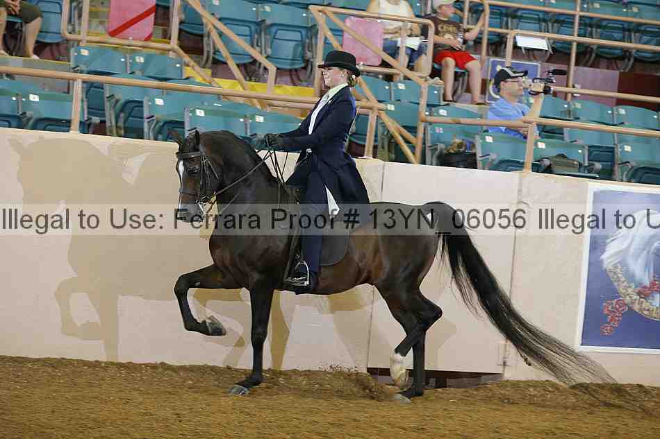 Proof 13yn_06056