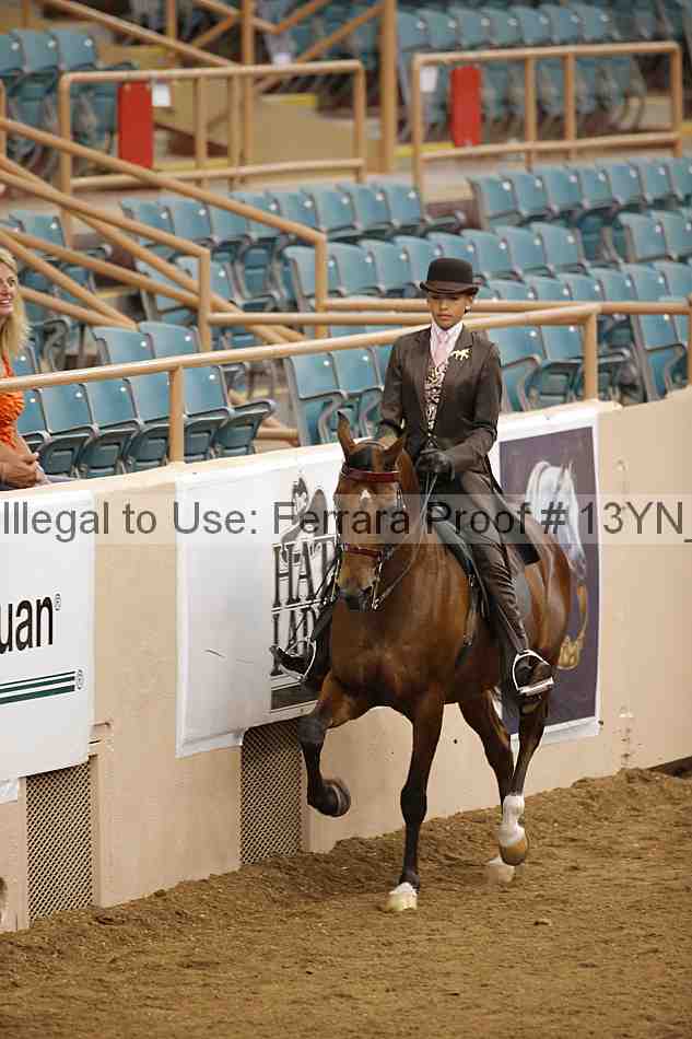 Proof 13yn_06057