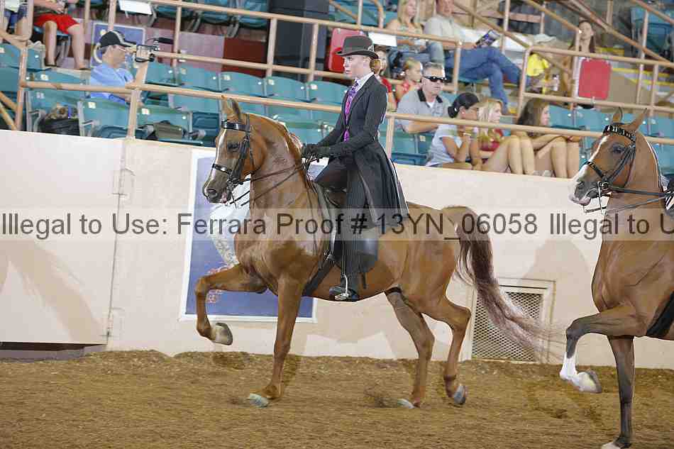 Proof 13yn_06058