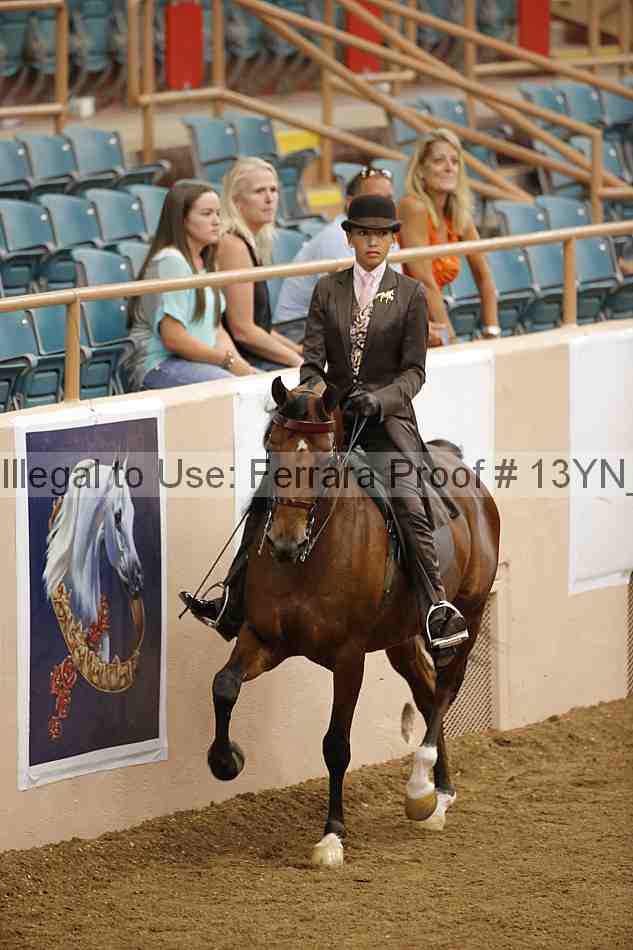 Proof 13yn_06059