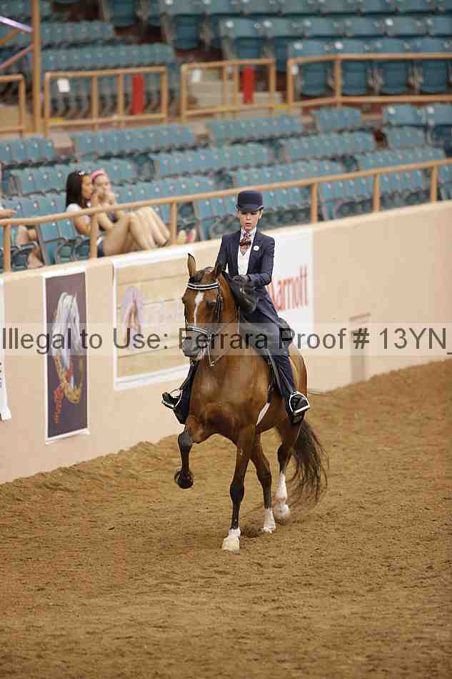 Proof 13yn_06060