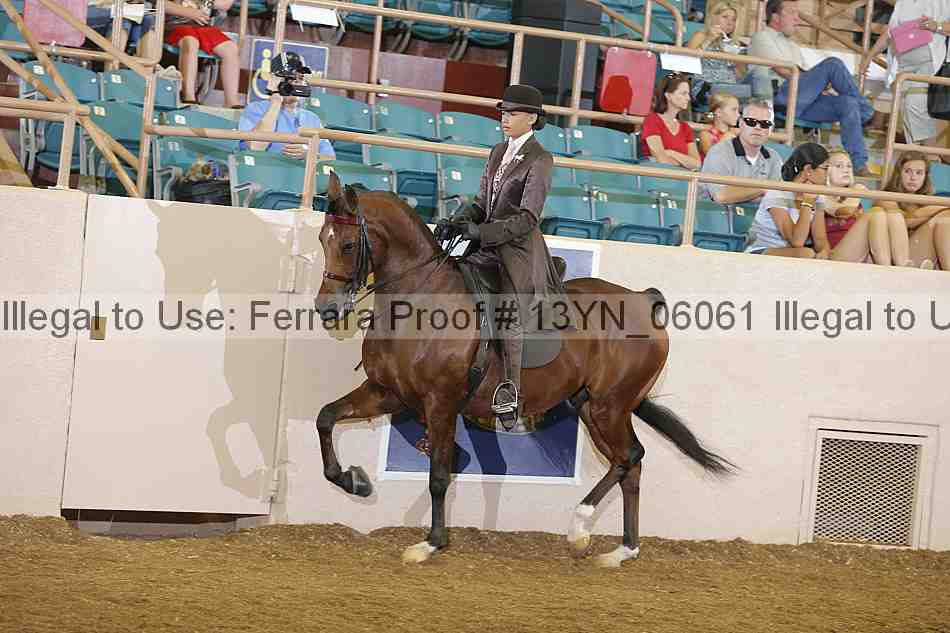 Proof 13yn_06061