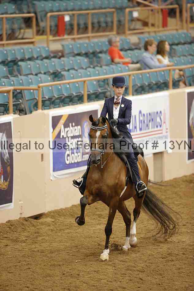 Proof 13yn_06062