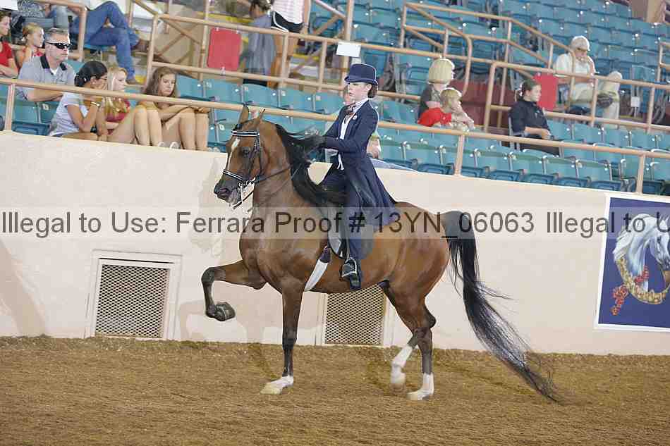 Proof 13yn_06063