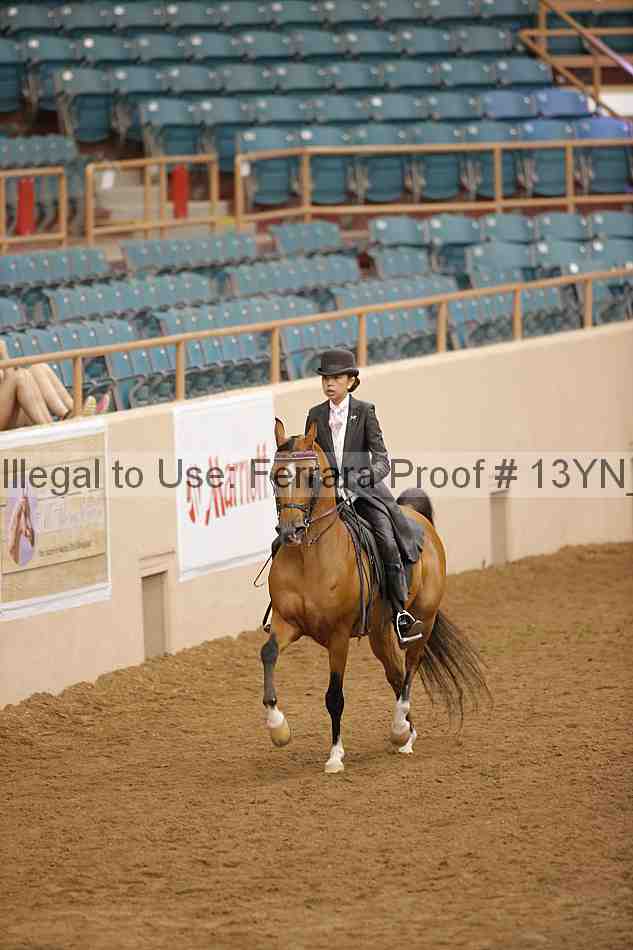 Proof 13yn_06064