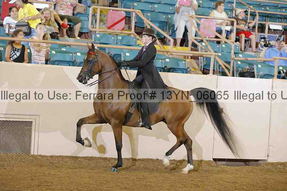 Proof 13yn_06065