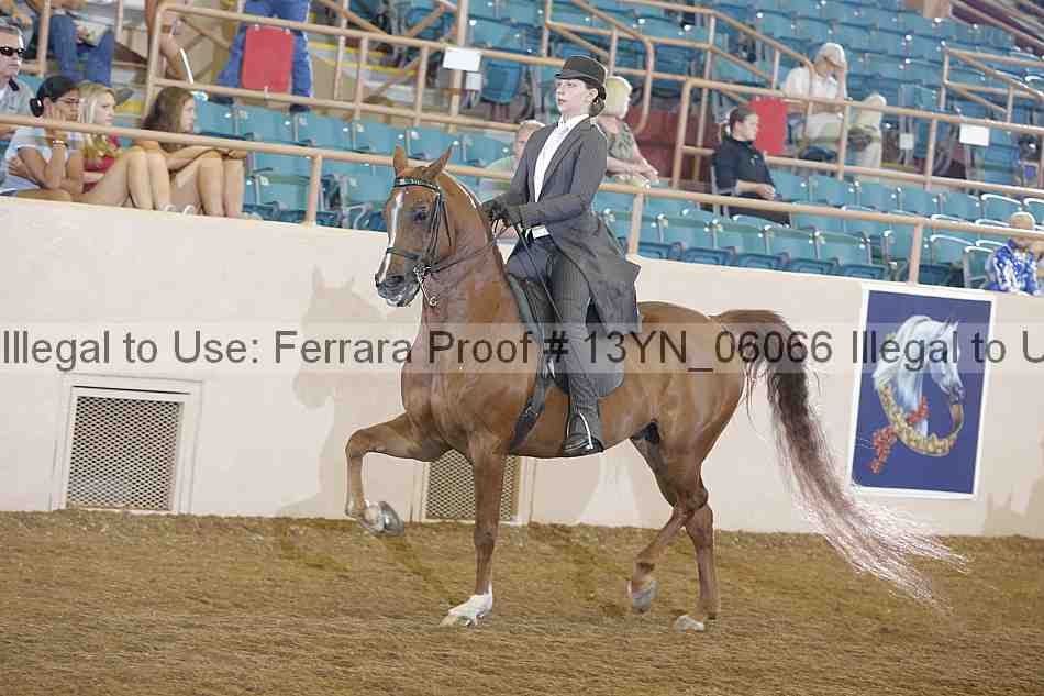 Proof 13yn_06066