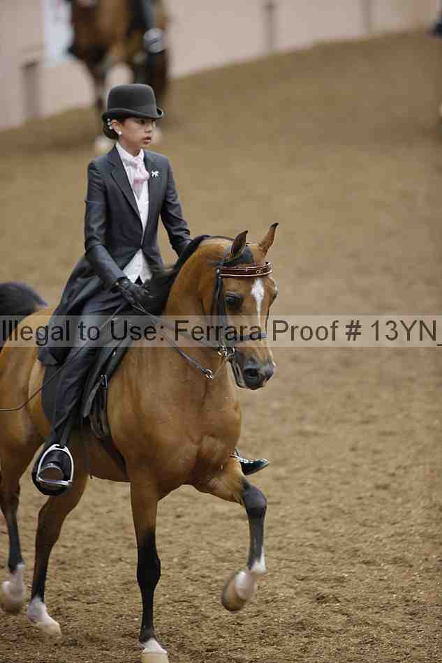 Proof 13yn_06067