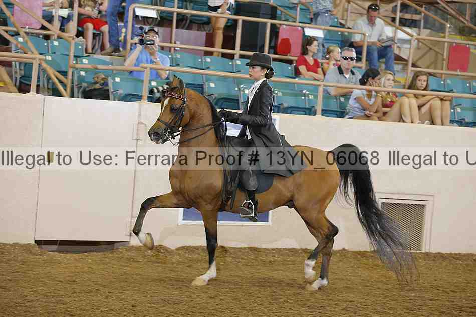 Proof 13yn_06068
