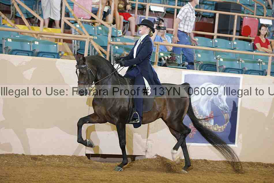 Proof 13yn_06069