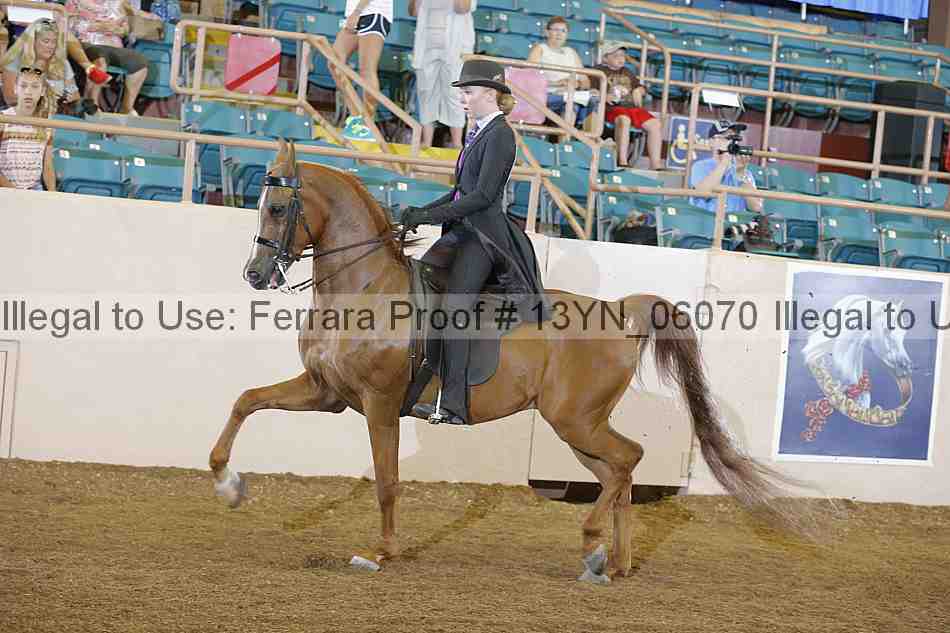 Proof 13yn_06070