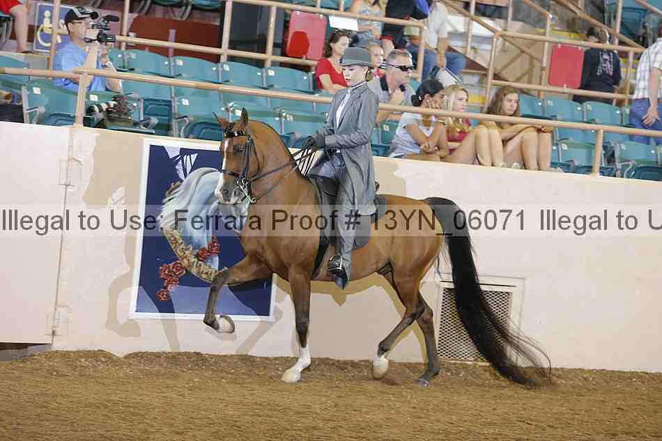 Proof 13yn_06071