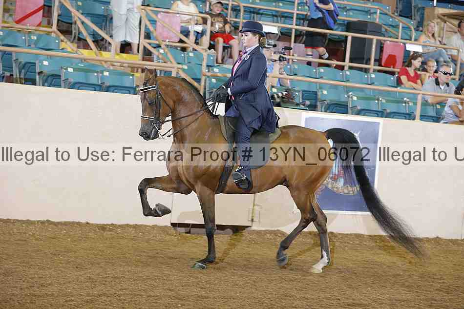 Proof 13yn_06072