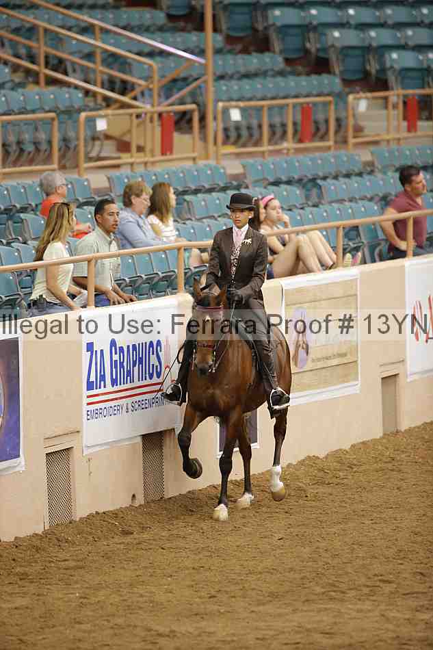 Proof 13yn_06073
