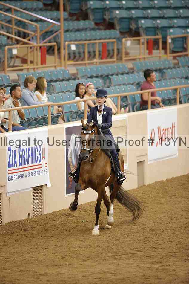 Proof 13yn_06074