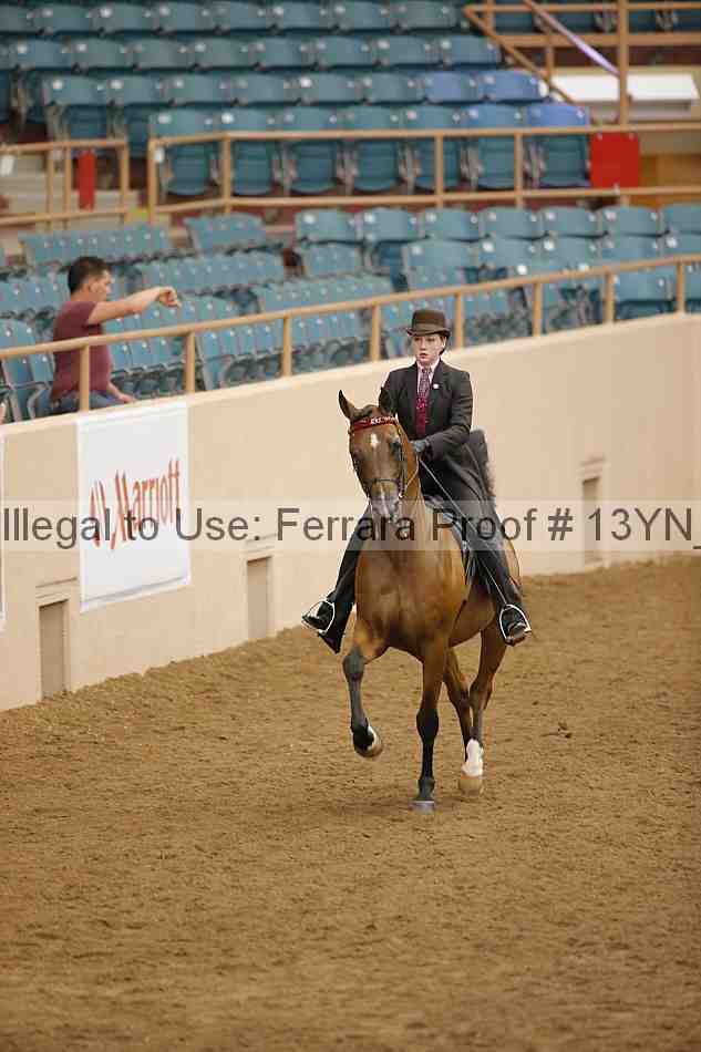 Proof 13yn_06075