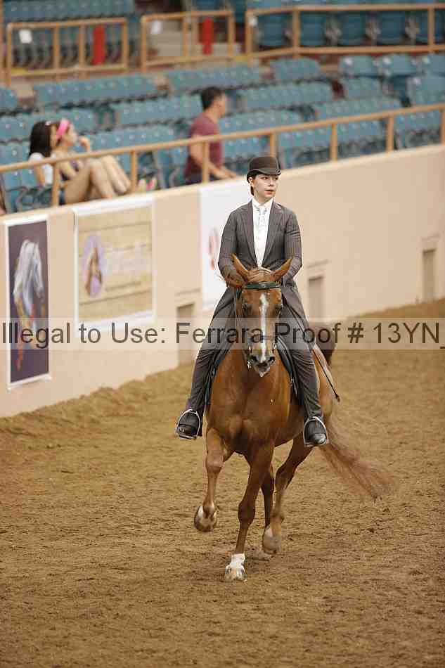 Proof 13yn_06076