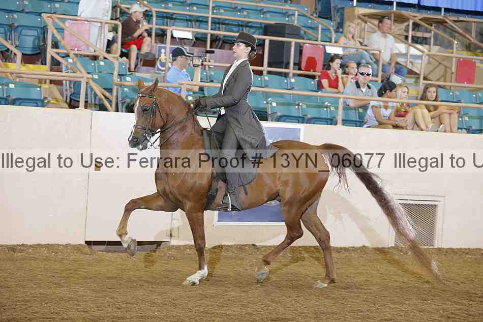 Proof 13yn_06077