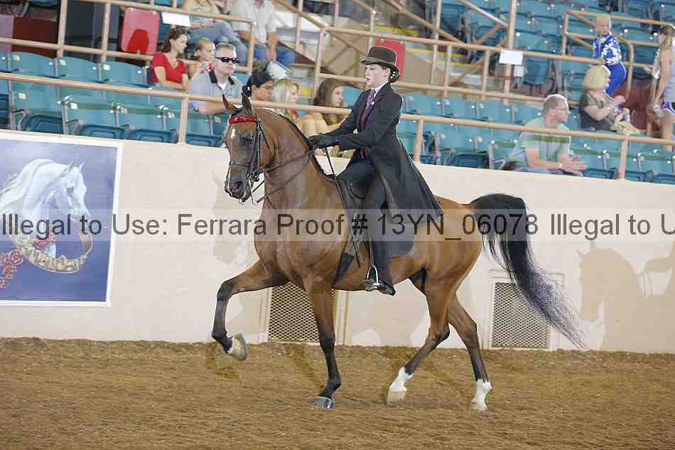 Proof 13yn_06078