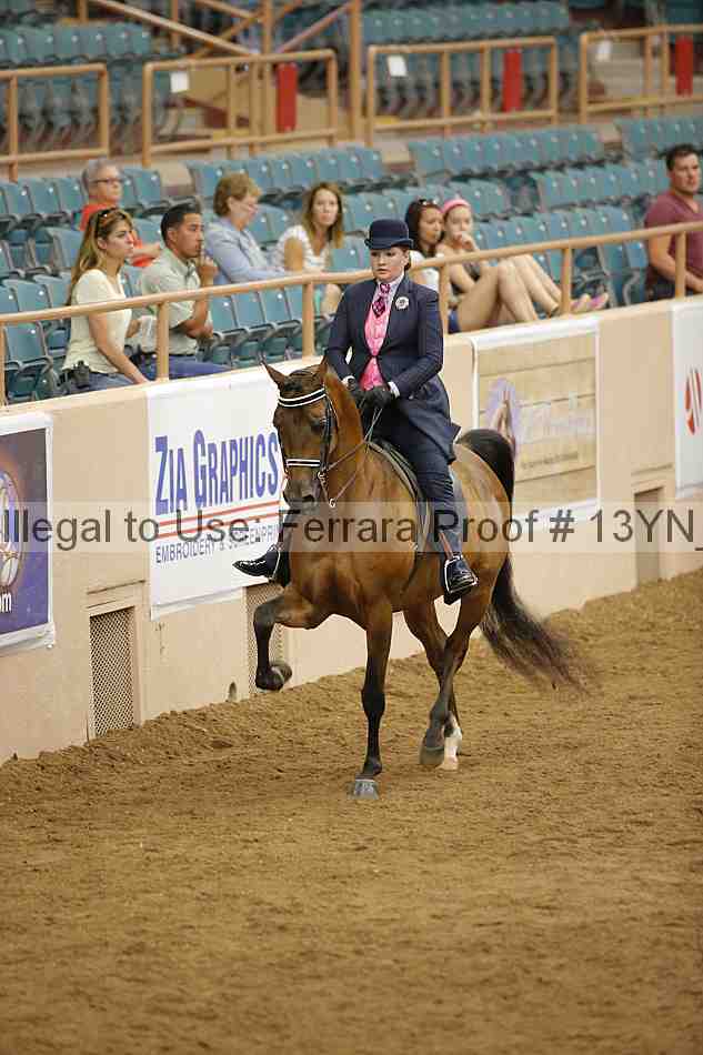 Proof 13yn_06079