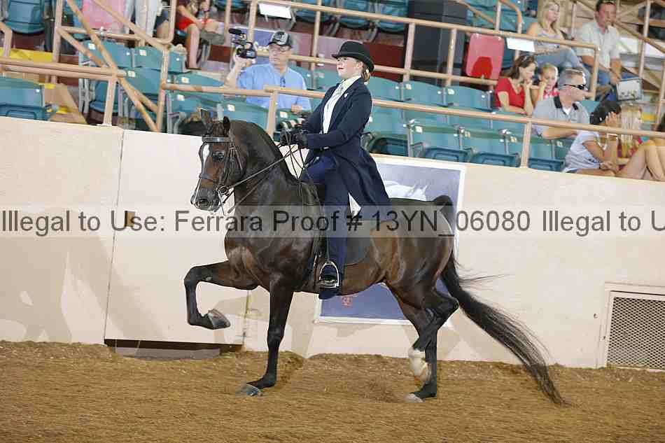 Proof 13yn_06080
