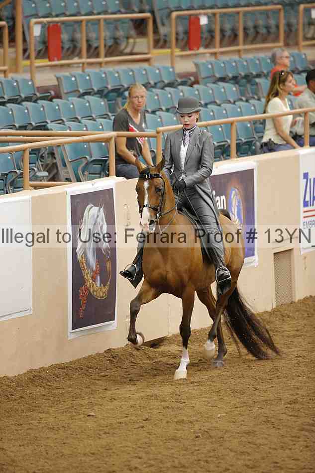 Proof 13yn_06081