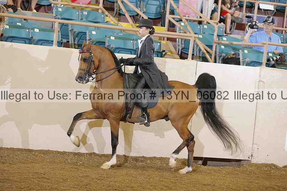 Proof 13yn_06082
