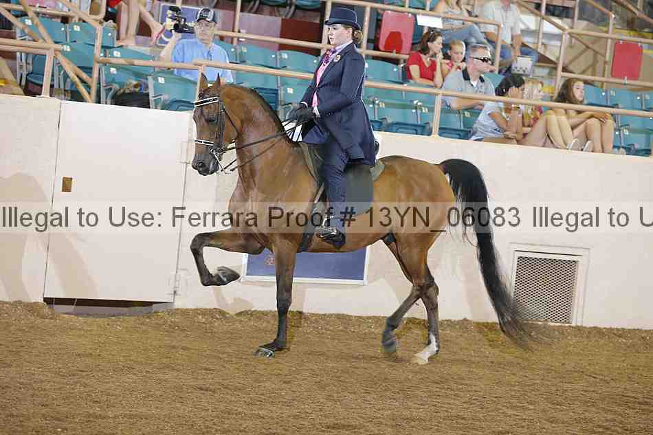 Proof 13yn_06083