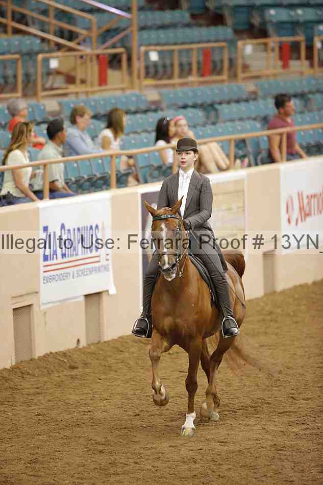 Proof 13yn_06084