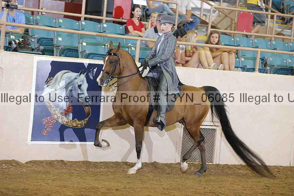 Proof 13yn_06085