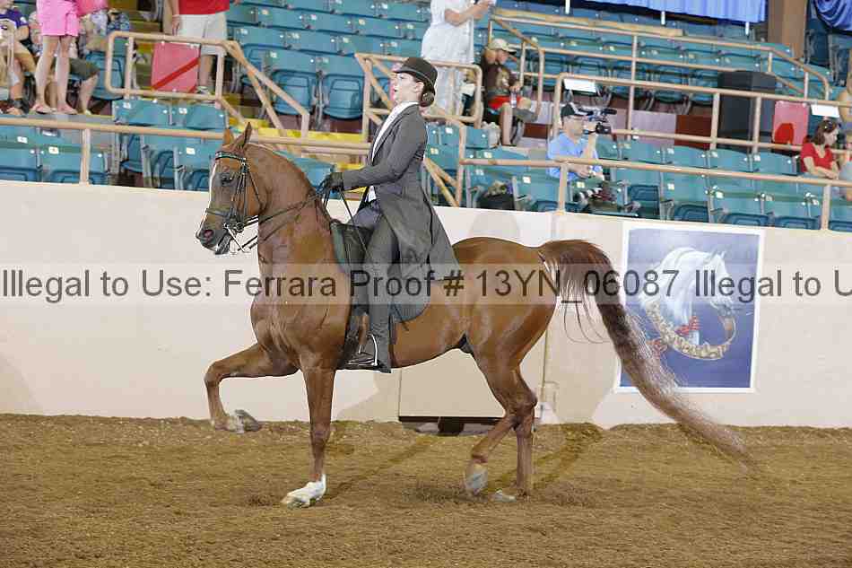 Proof 13yn_06087
