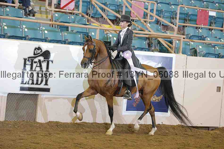 Proof 13yn_06088