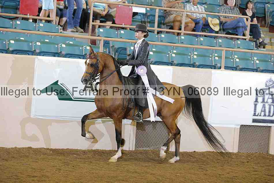 Proof 13yn_06089