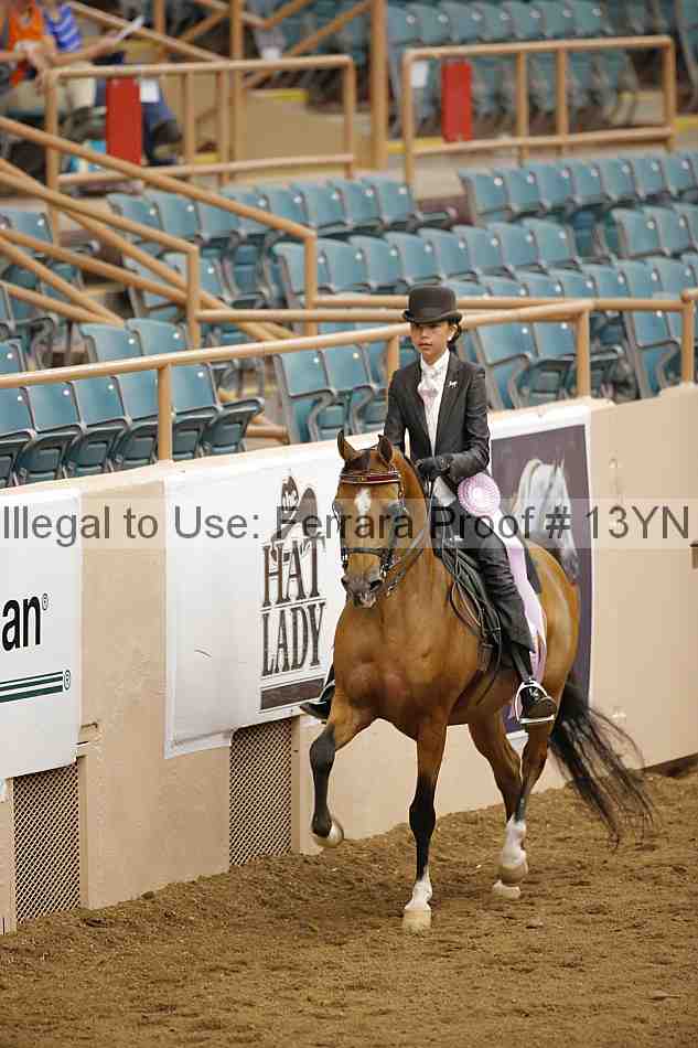 Proof 13yn_06091
