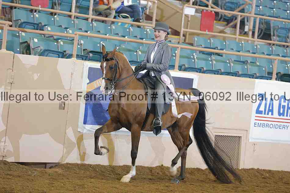 Proof 13yn_06092