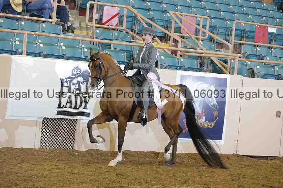 Proof 13yn_06093